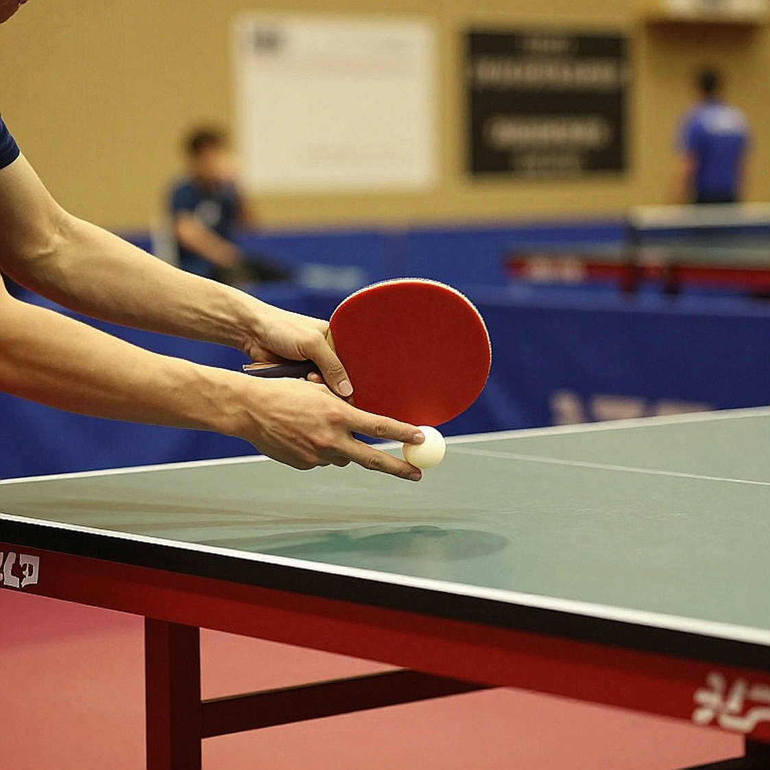 Bản báo cáo tuyển trạch bóng bàn trống rỗng: chỗ trống không được lấp bằng huyền thoại