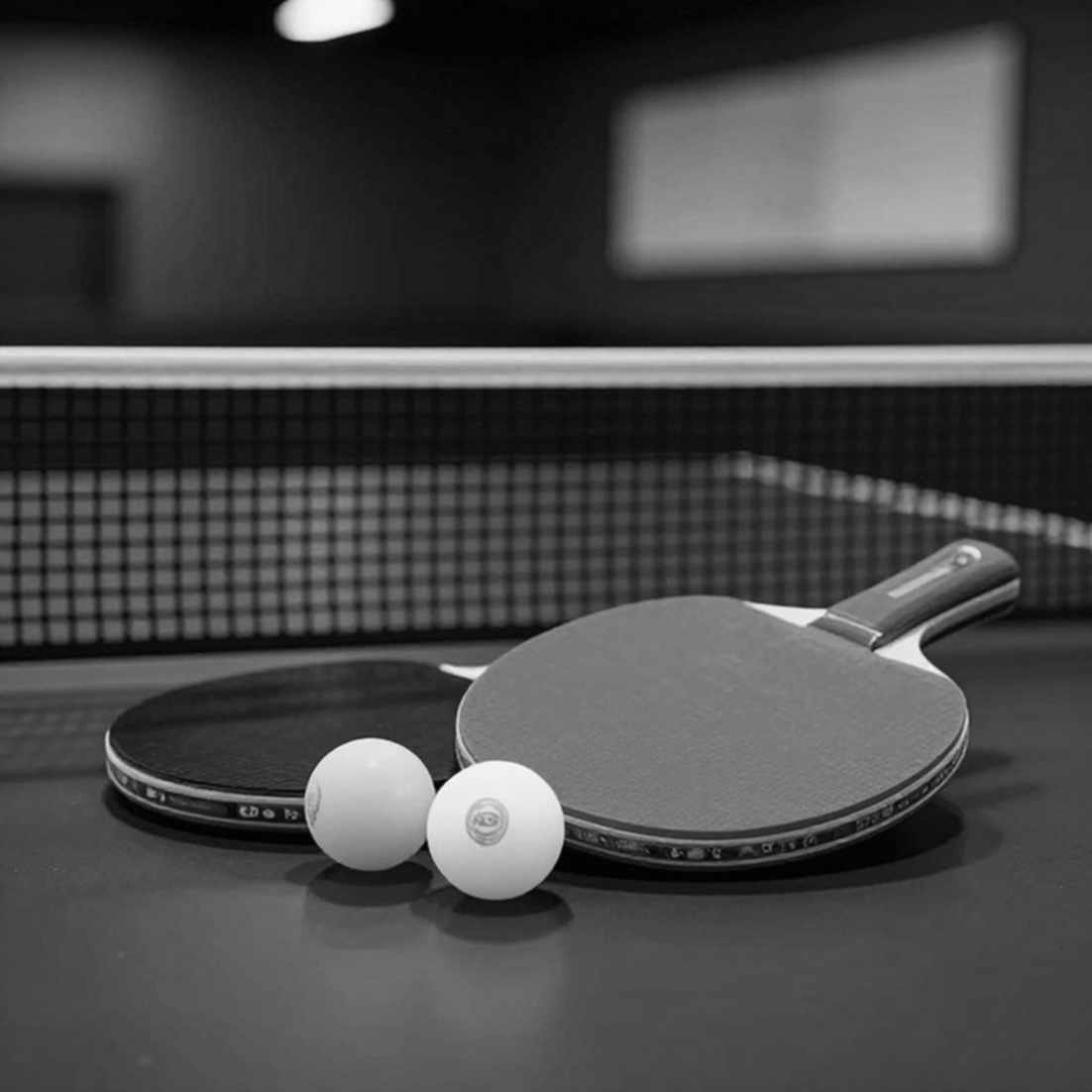 Elizabeta Samara và Ljubljana 2026: Đọc một tay vợt 37 tuổi bằng dữ liệu huy chương